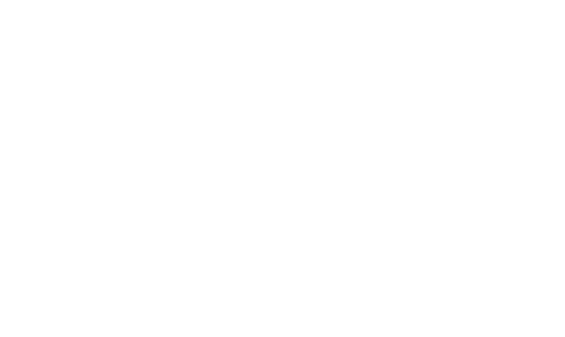 Logo White